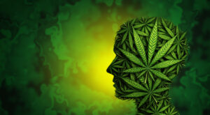Cannabis Cannabinoids